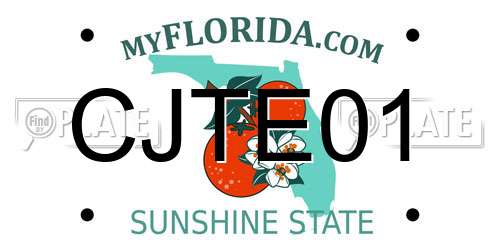 CJTE01 Florida License Plate
