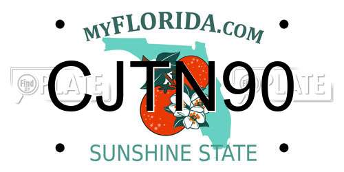 CJTN90 Florida License Plate
