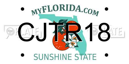 CJTR18 Florida License Plate