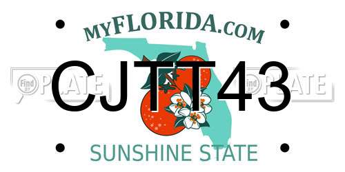 CJTT43 Florida License Plate