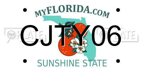 CJTY06 Florida License Plate