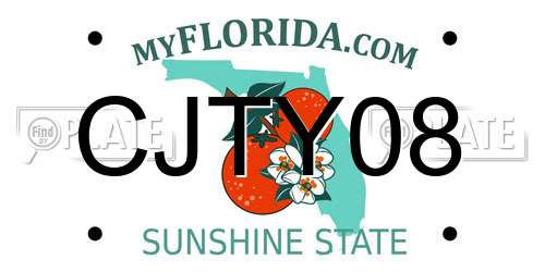 CJTY08 Florida License Plate