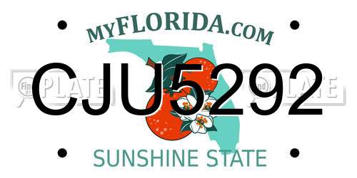 CJU5292 Florida License Plate