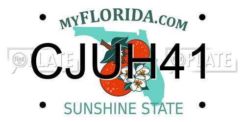 CJUH41 Florida License Plate