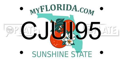CJUI95 Florida License Plate