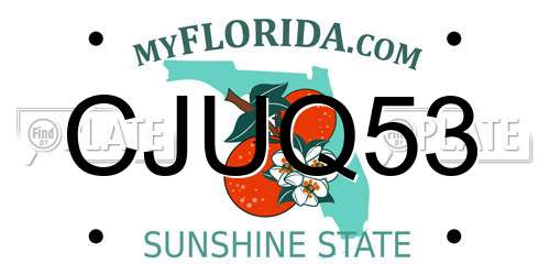 CJUQ53 Florida License Plate