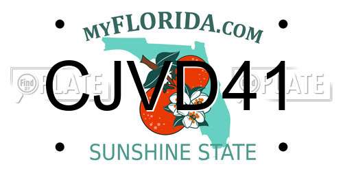 CJVD41 Florida License Plate