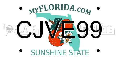 CJVE99 Florida License Plate