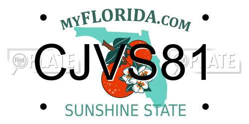 CJVS81 Florida License Plate