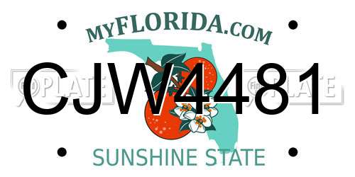 CJW4481 Florida License Plate