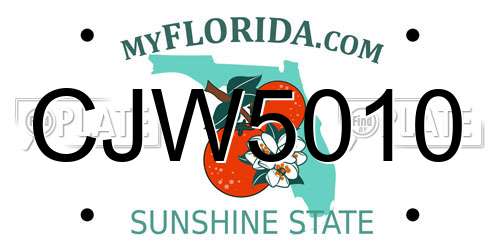 CJW5010 Florida License Plate