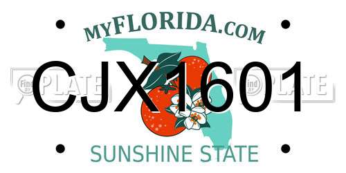 CJX1601 Florida License Plate