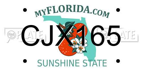 CJX165 Florida License Plate