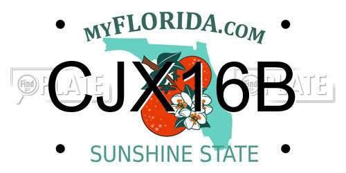 CJX16B Florida License Plate