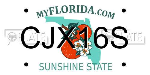 CJX16S Florida License Plate
