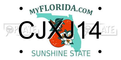 CJXJ14 Florida License Plate