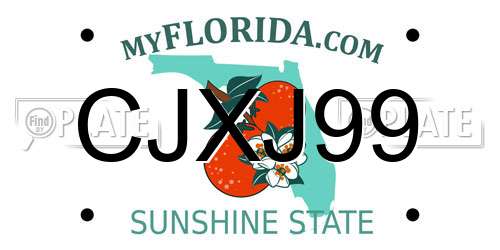 CJXJ99 Florida License Plate