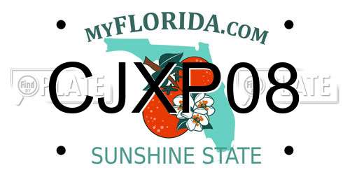 CJXP08 Florida License Plate