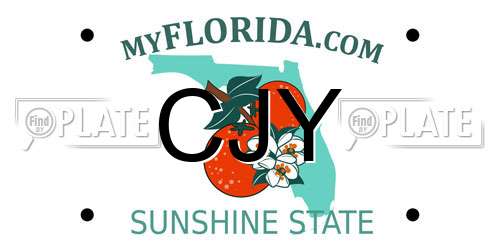 CJY Florida License Plate
