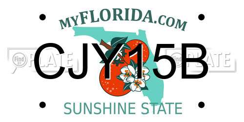 CJY15B Florida License Plate
