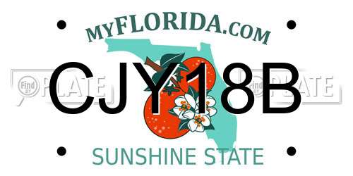 CJY18B Florida License Plate