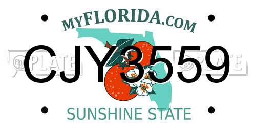 CJY3559 Florida License Plate