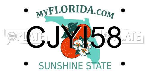 CJYI58 Florida License Plate