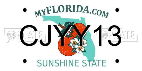 CJYY13 Florida License Plate