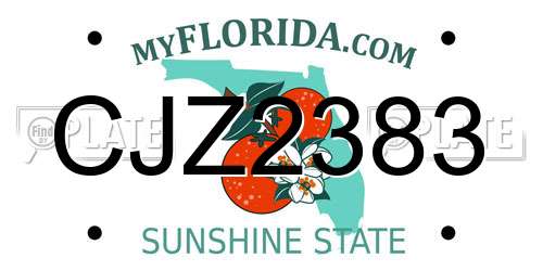CJZ2383 Florida License Plate
