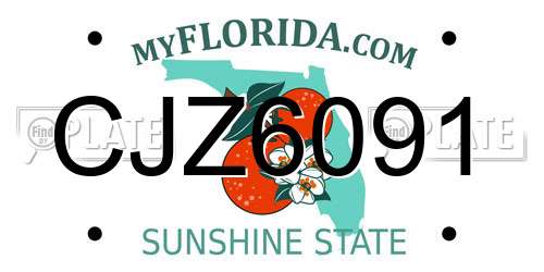 CJZ6091 Florida License Plate
