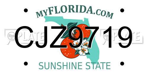 CJZ9719 Florida License Plate
