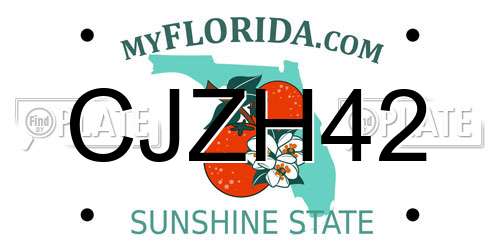 CJZH42 Florida License Plate