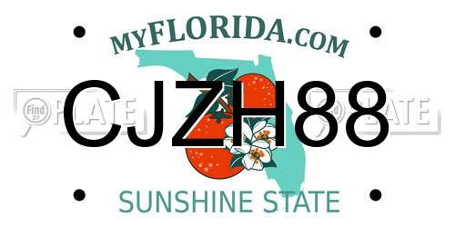 CJZH88 Florida License Plate