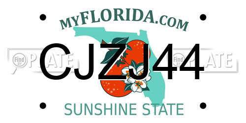 CJZJ44 Florida License Plate