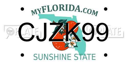 CJZK99 Florida License Plate