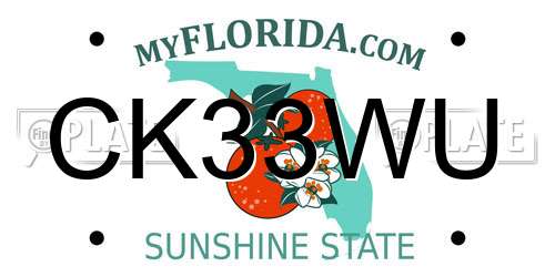 CK33WU Florida License Plate