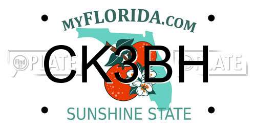 CK3BH Florida License Plate