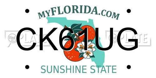 CK61UG Florida License Plate
