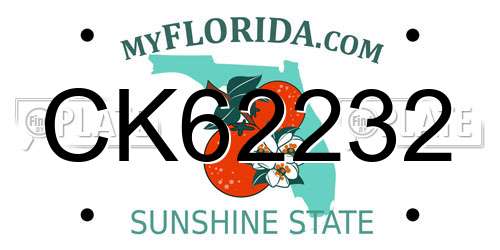 CK62232 Florida License Plate