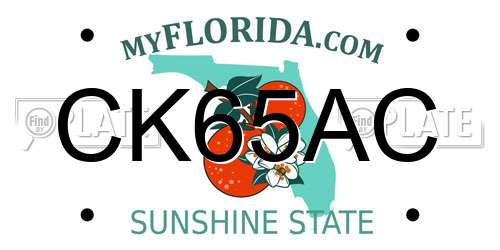 CK65AC Florida License Plate