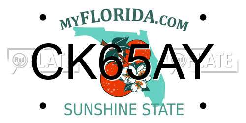 CK65AY Florida License Plate