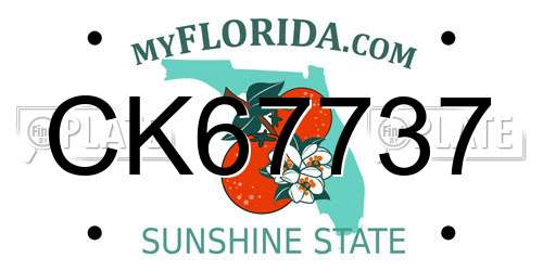 CK67737 Florida License Plate