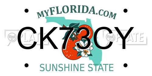 CK73CY Florida License Plate