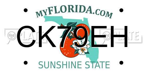 CK79EH Florida License Plate