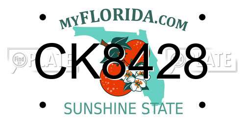 CK8428 Florida License Plate