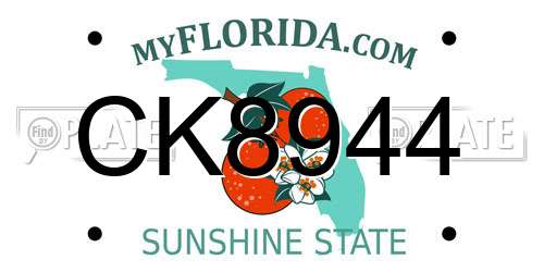 CK8944 Florida License Plate