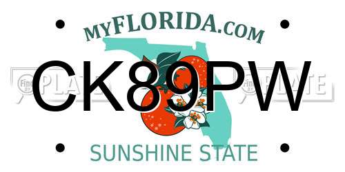 CK89PW Florida License Plate