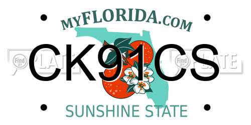 CK91CS Florida License Plate