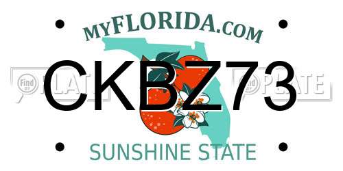 CKBZ73 Florida License Plate
