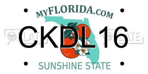 CKDL16 Florida License Plate